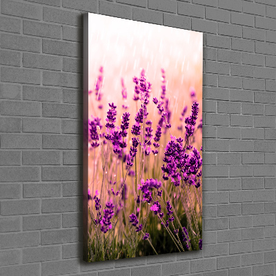 Large canvas wall art Lavender field