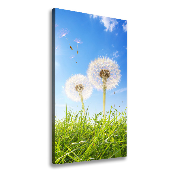 Large canvas wall art Dandelion in the meadow