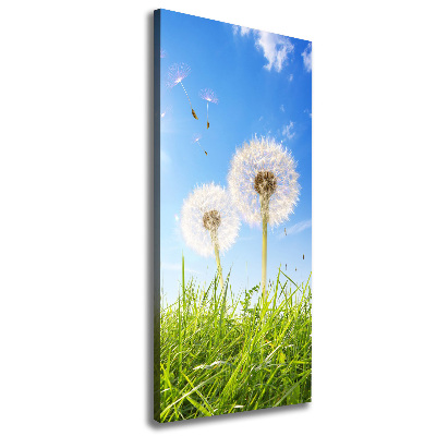 Large canvas wall art Dandelion in the meadow