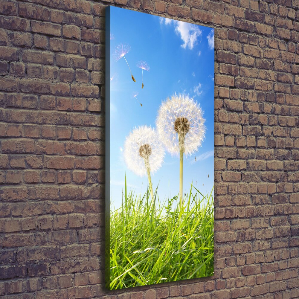 Large canvas wall art Dandelion in the meadow