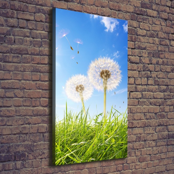 Large canvas wall art Dandelion in the meadow