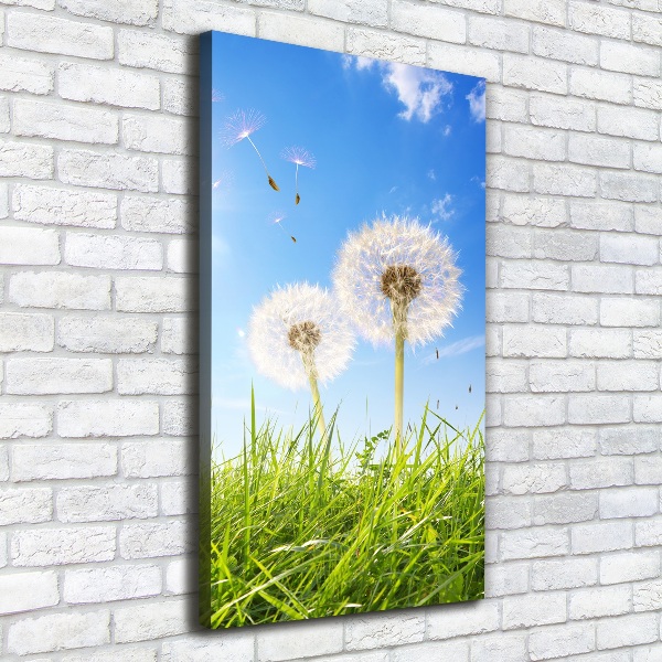 Large canvas wall art Dandelion in the meadow