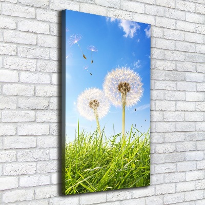 Large canvas wall art Dandelion in the meadow