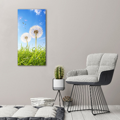 Large canvas wall art Dandelion in the meadow