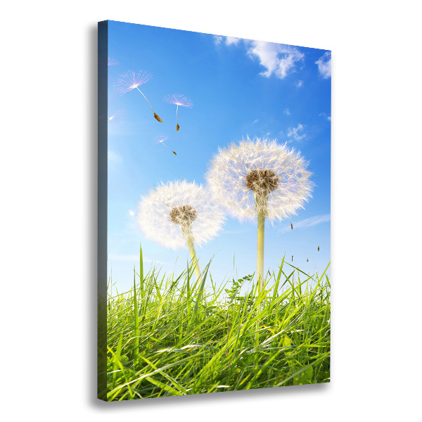 Large canvas wall art Dandelion in the meadow