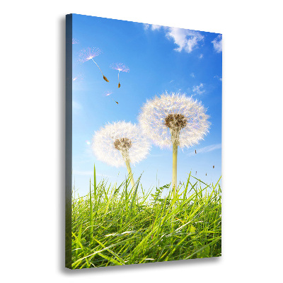 Large canvas wall art Dandelion in the meadow