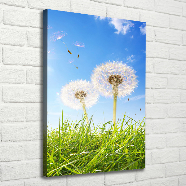 Large canvas wall art Dandelion in the meadow