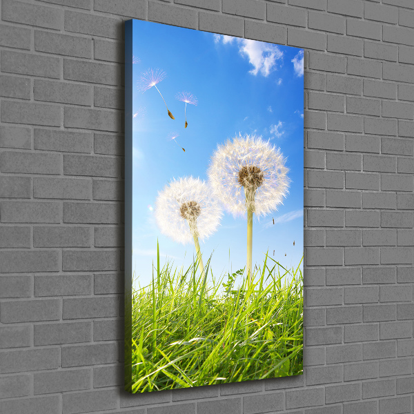 Large canvas wall art Dandelion in the meadow