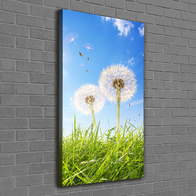 Large canvas wall art Dandelion in the meadow