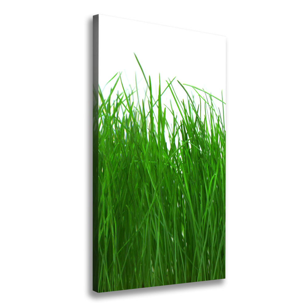 Large canvas wall art Grass