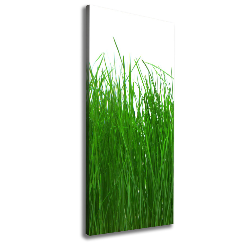 Large canvas wall art Grass