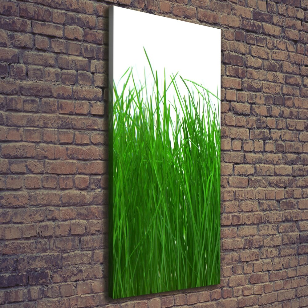 Large canvas wall art Grass