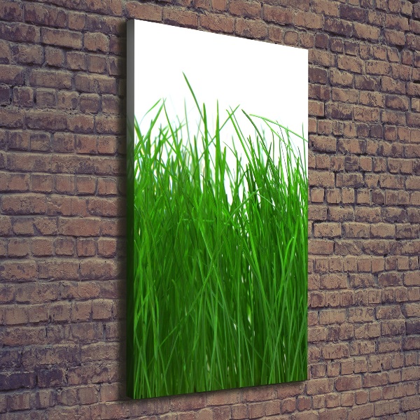 Large canvas wall art Grass