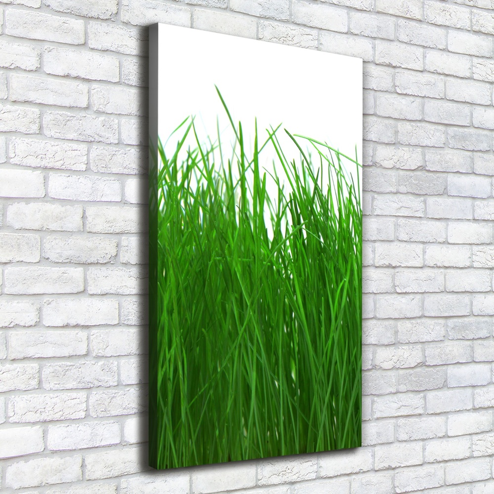 Large canvas wall art Grass