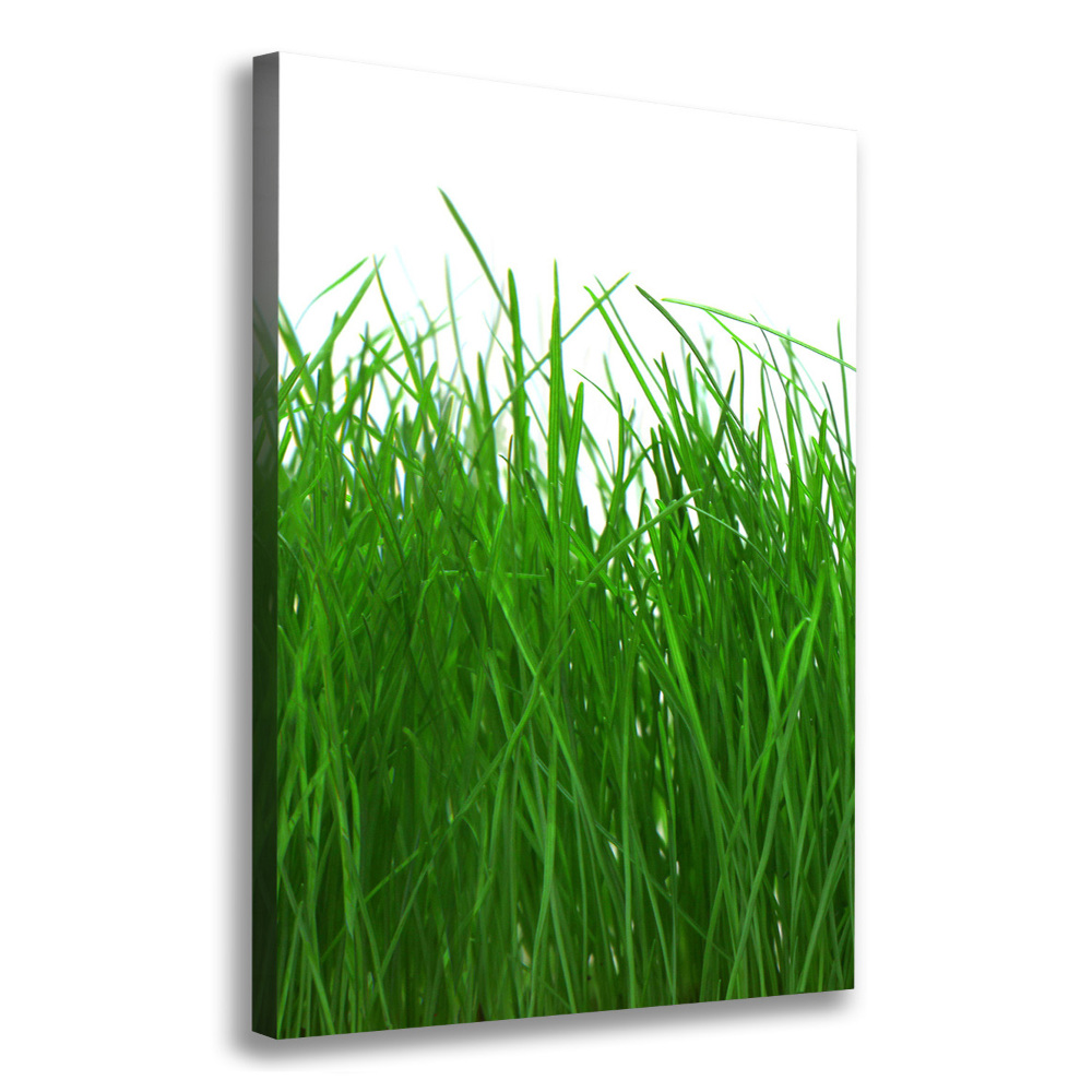 Large canvas wall art Grass