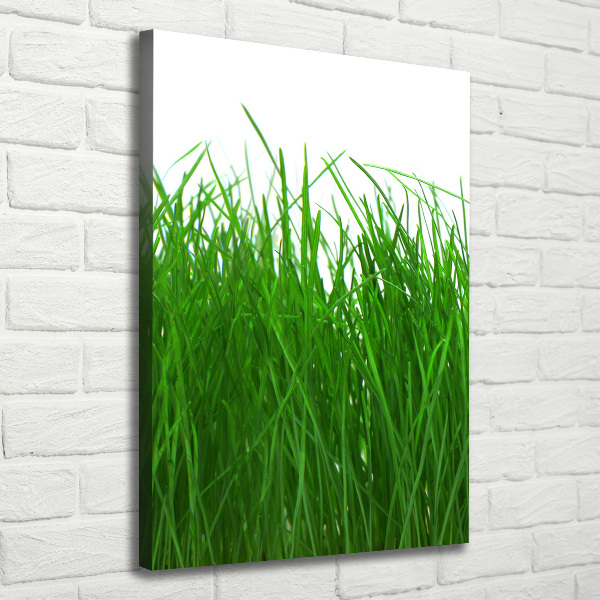 Large canvas wall art Grass