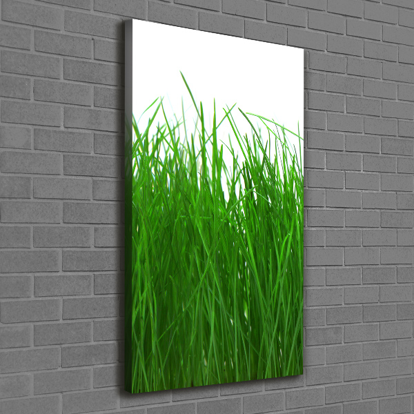 Large canvas wall art Grass