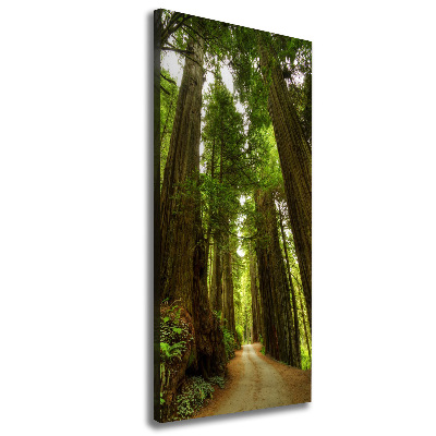 Canvas wall art Path in the forest