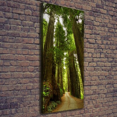 Canvas wall art Path in the forest