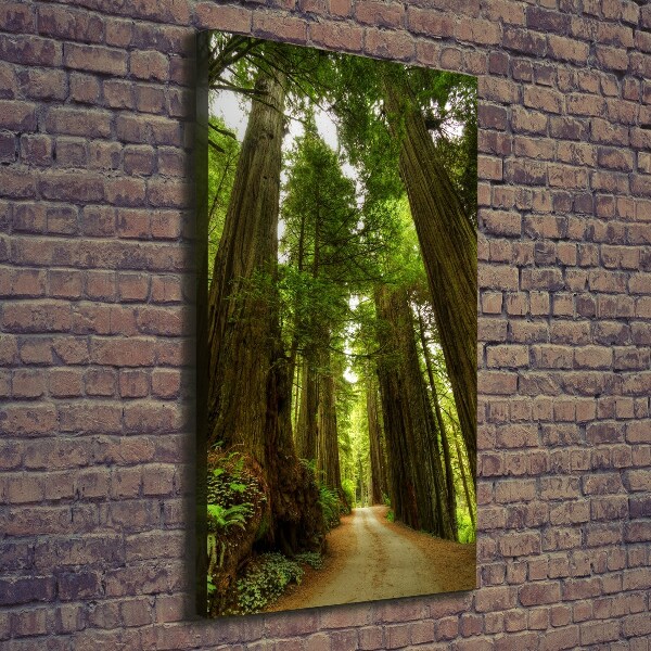 Canvas wall art Path in the forest