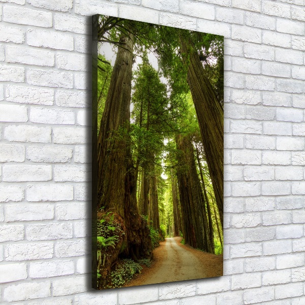 Canvas wall art Path in the forest