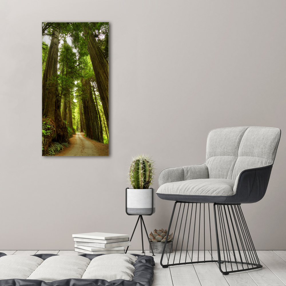 Canvas wall art Path in the forest