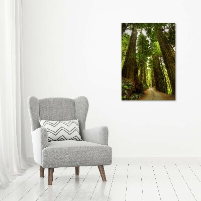 Canvas wall art Path in the forest