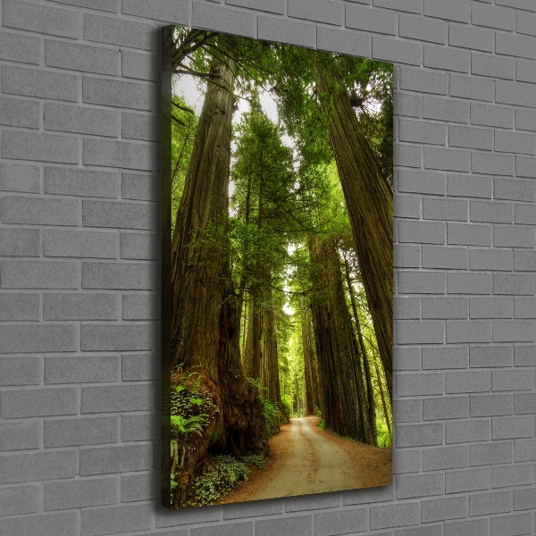 Canvas wall art Path in the forest