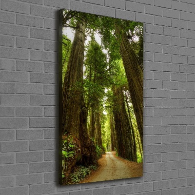 Canvas wall art Path in the forest