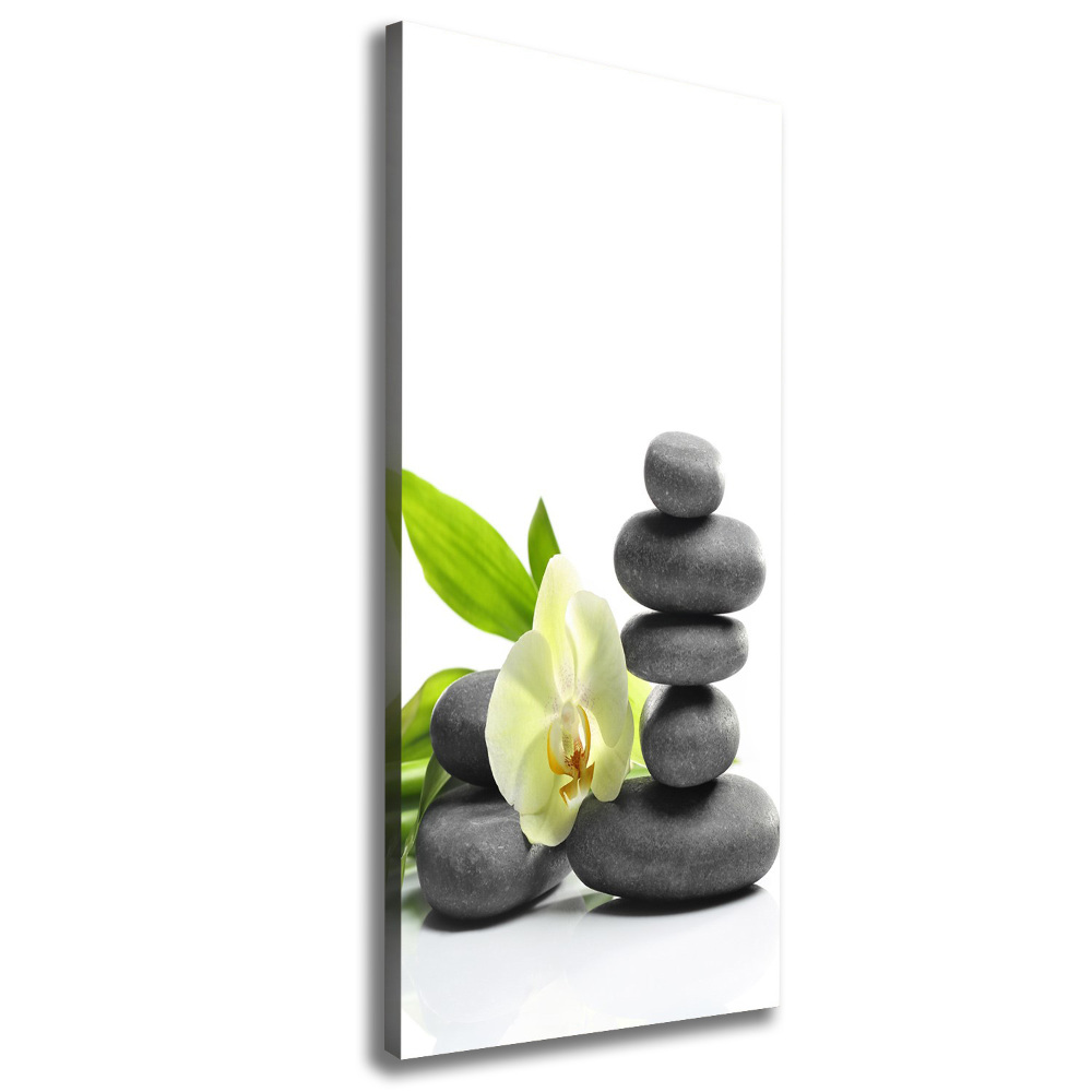 Canvas wall art Orchid and stones