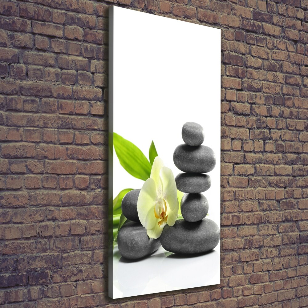 Canvas wall art Orchid and stones