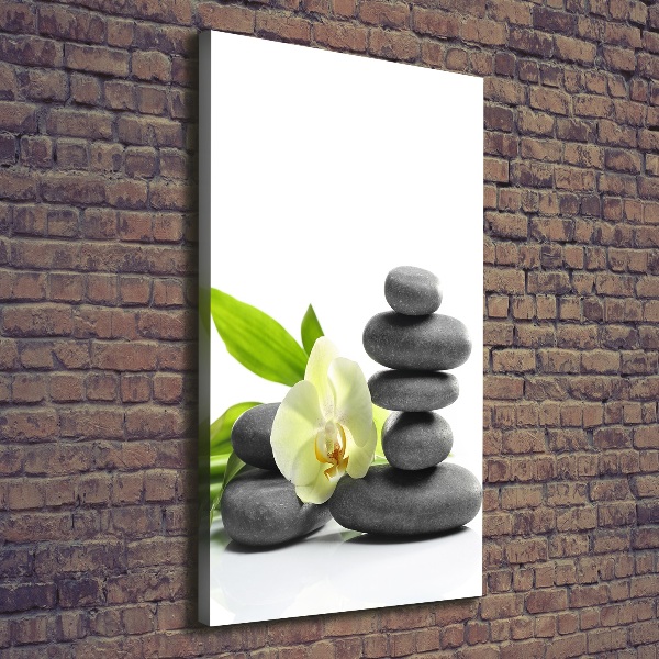 Canvas wall art Orchid and stones