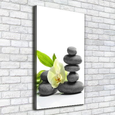 Canvas wall art Orchid and stones