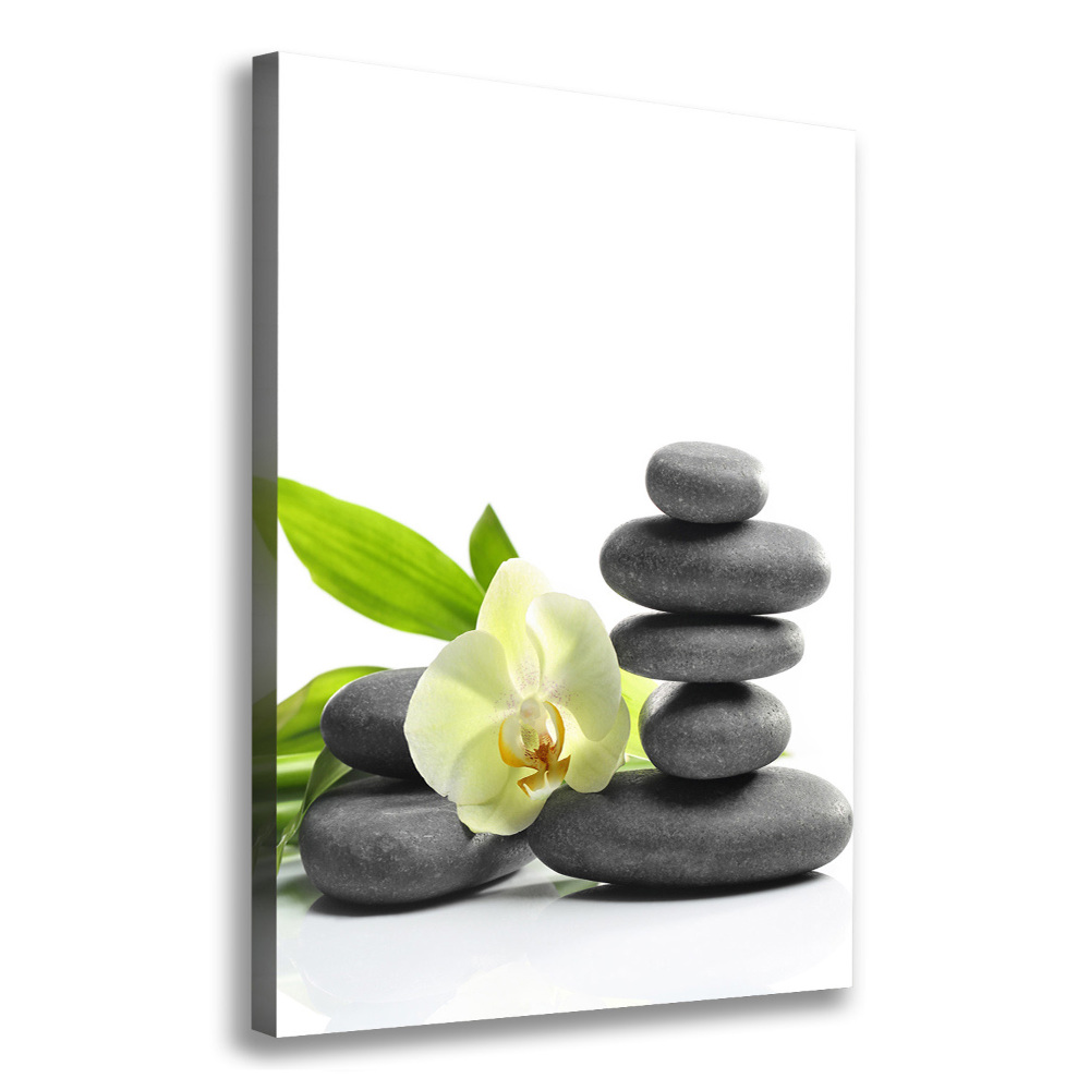 Canvas wall art Orchid and stones