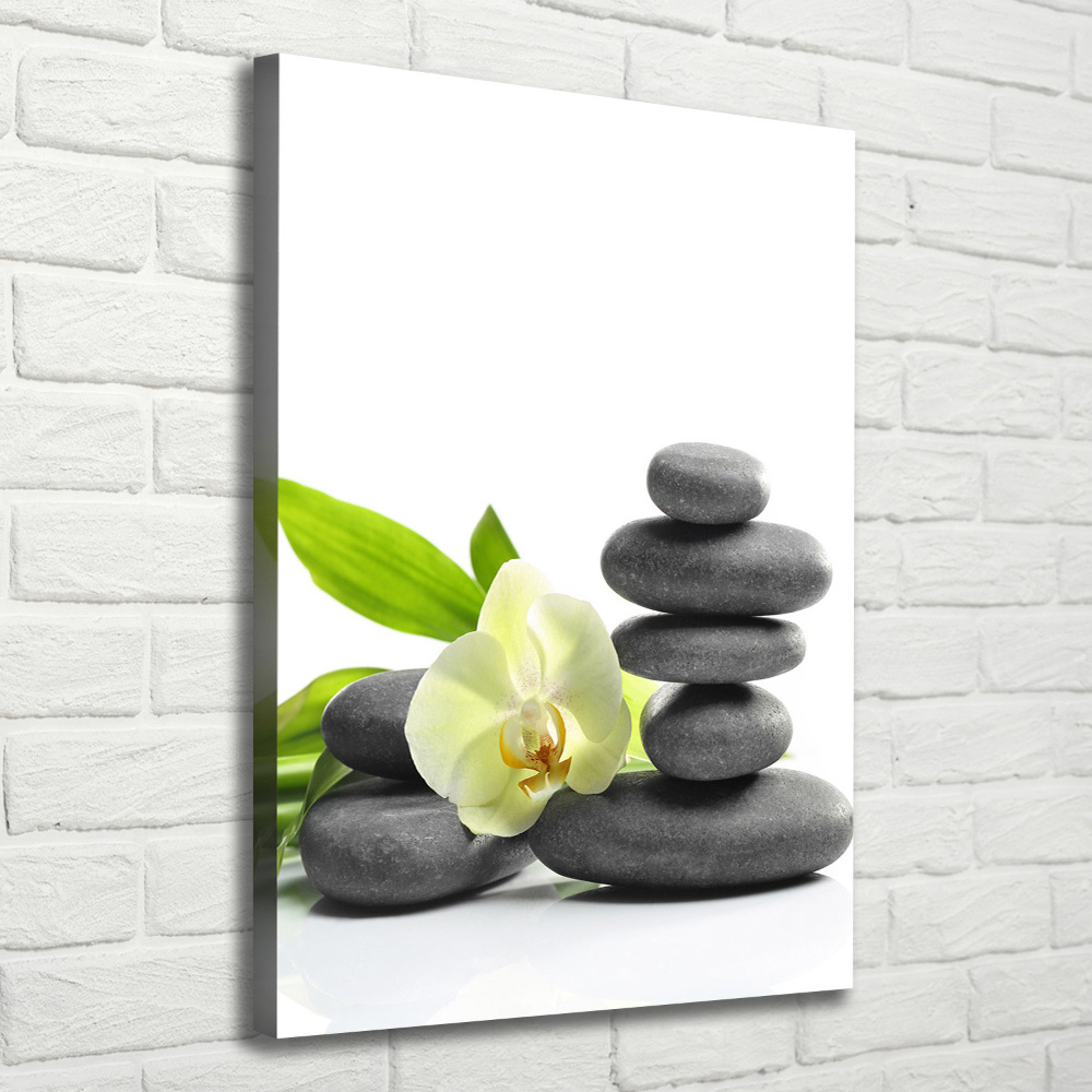 Canvas wall art Orchid and stones