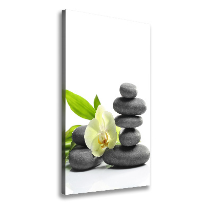 Canvas wall art Orchid and stones