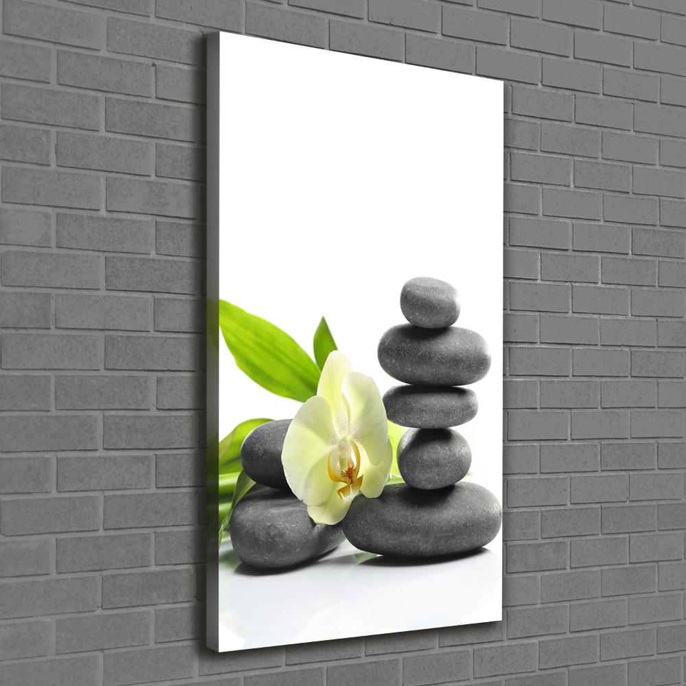 Canvas wall art Orchid and stones