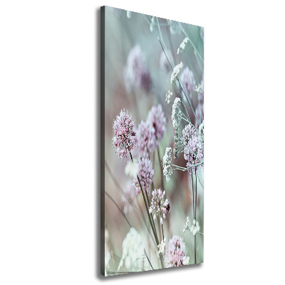 Canvas wall art Garlic flowers