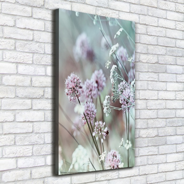 Canvas wall art Garlic flowers