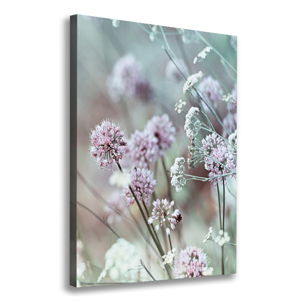 Canvas wall art Garlic flowers