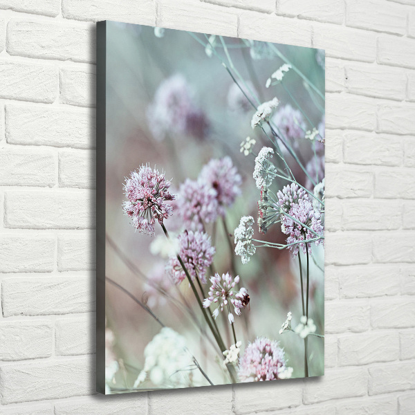 Canvas wall art Garlic flowers