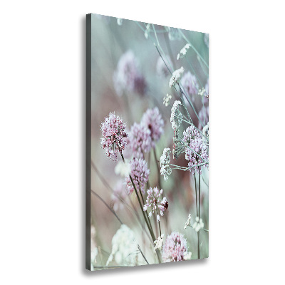 Canvas wall art Garlic flowers