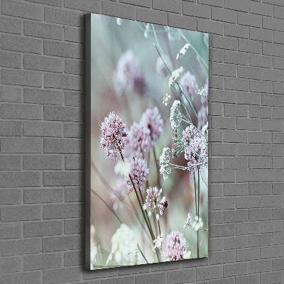 Canvas wall art Garlic flowers