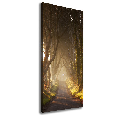 Large canvas wall art Path in the forest