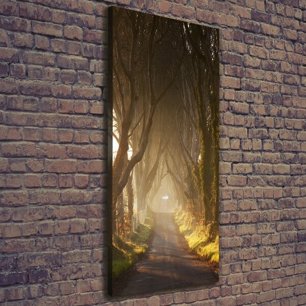 Large canvas wall art Path in the forest