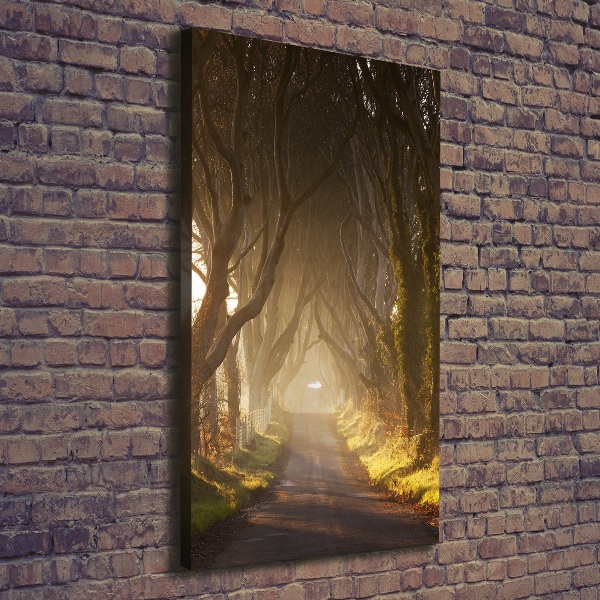 Large canvas wall art Path in the forest