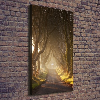 Large canvas wall art Path in the forest