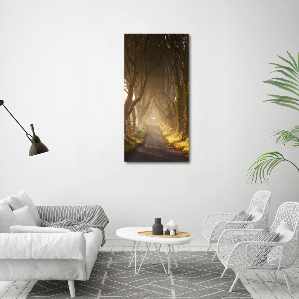 Large canvas wall art Path in the forest