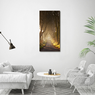 Large canvas wall art Path in the forest