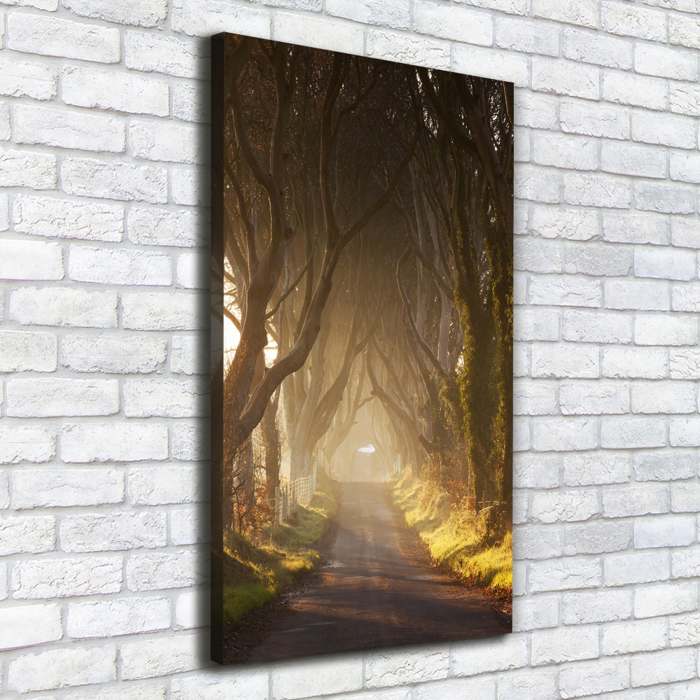 Large canvas wall art Path in the forest